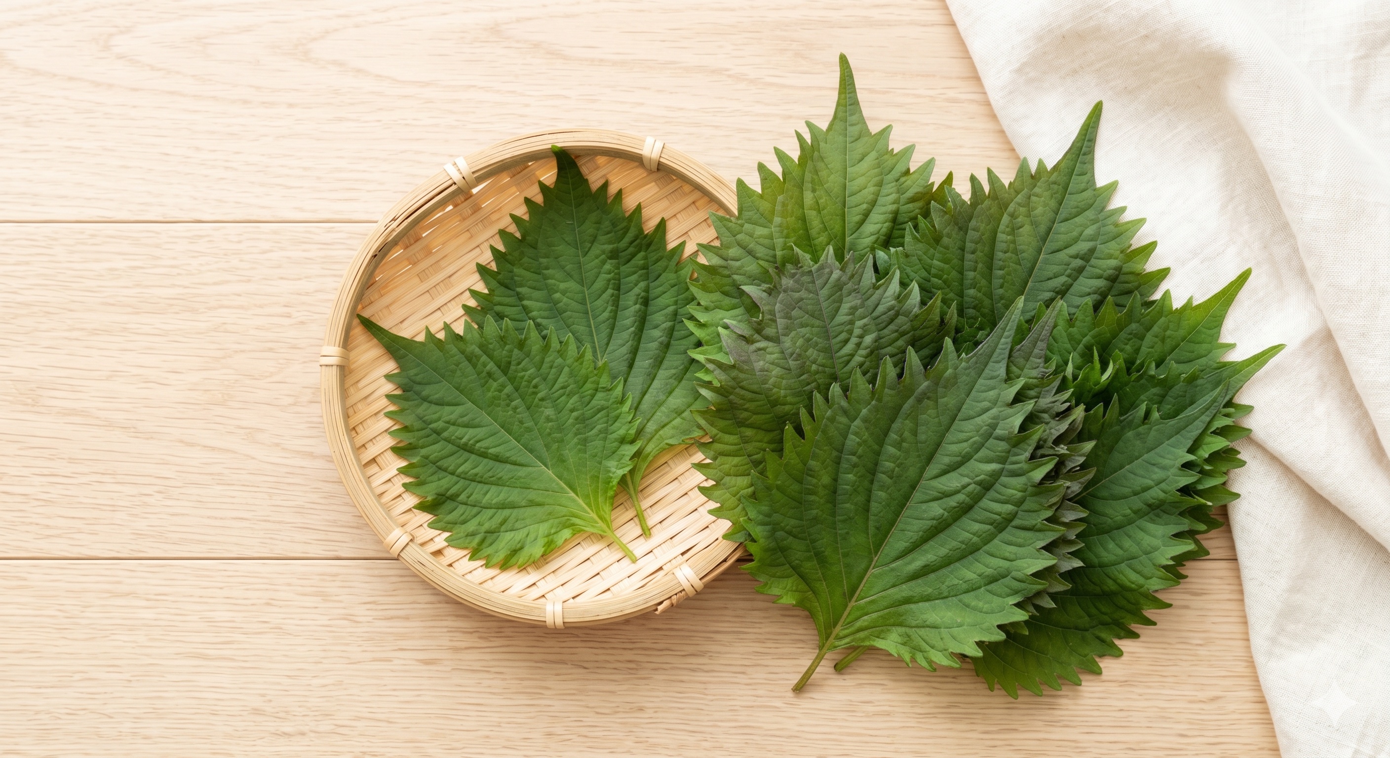 Shiso (Japanese Perilla) (차조기)